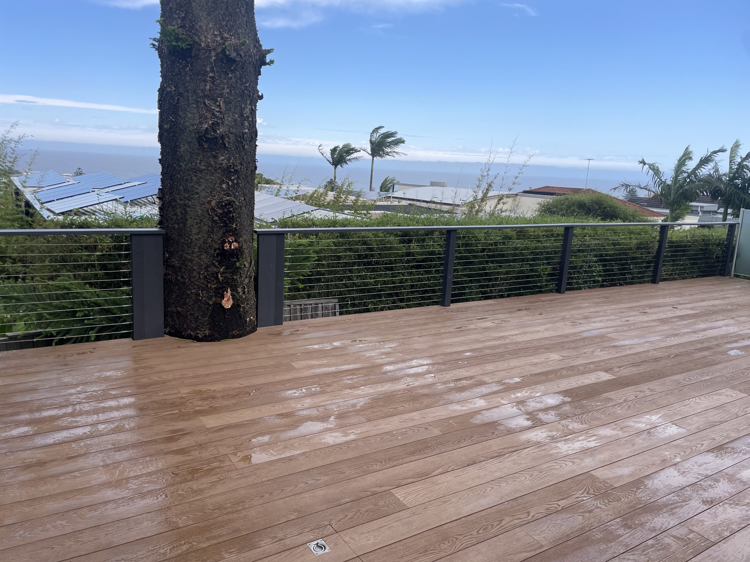 Stainless cable balustrade, Clovelly pool deck — The Decksmith