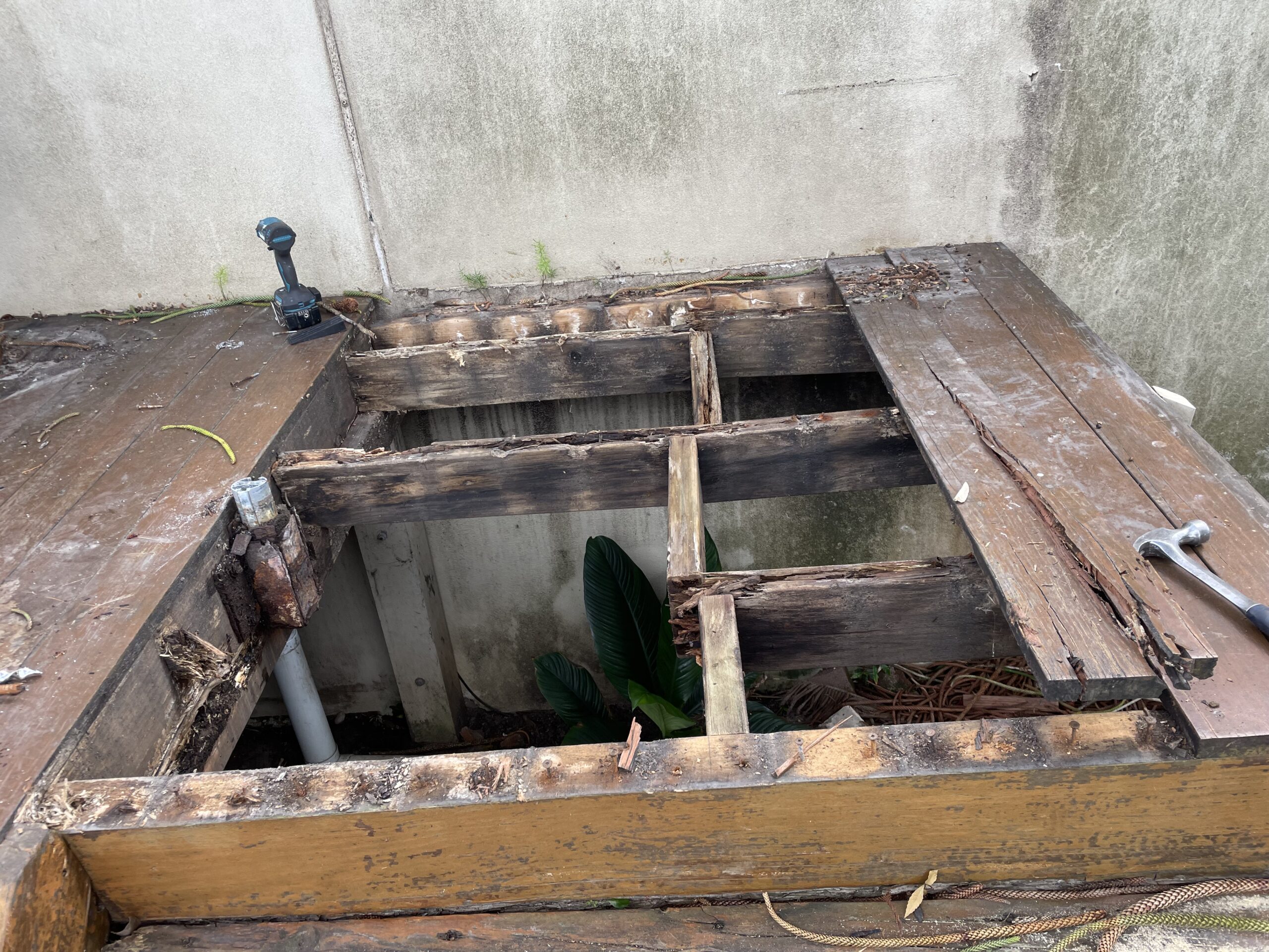 Old dead timber frame before replacement, Clovelly pool deck — The Decksmith
