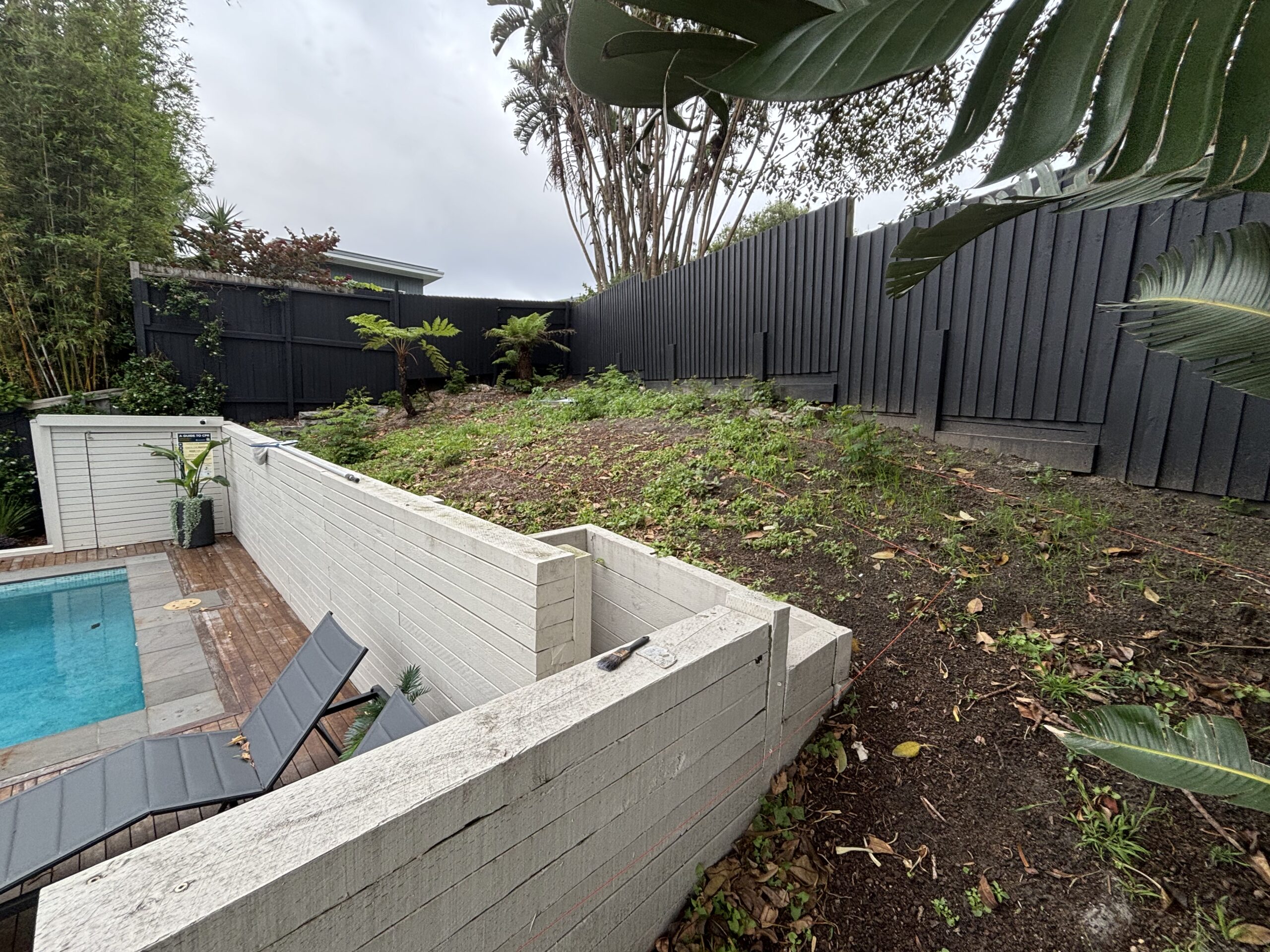 Before photo showing wasted Pacific Ocean view obscured by overgrown hillside at Coogee property