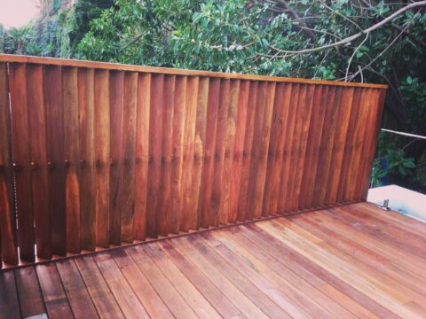 Spotted Gum privacy screening