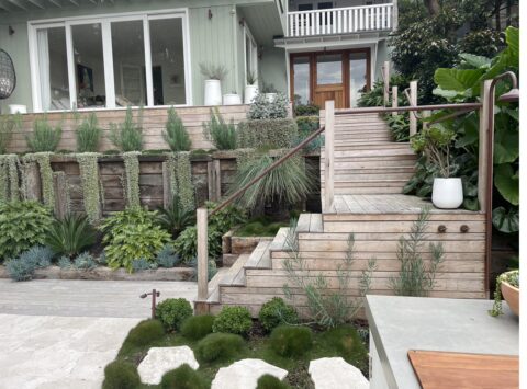 Multi-level landscaped garden with timber steps and retaining walls, Bronte