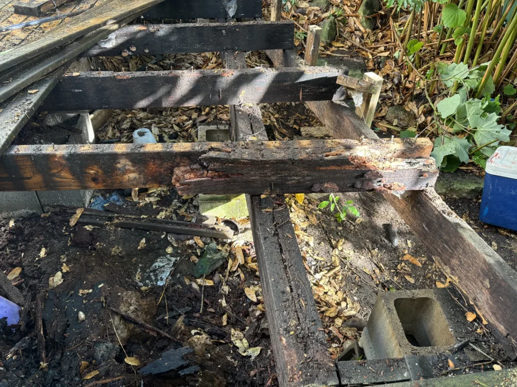 Bearer rotted through in the old deck framing, Neutral Bay